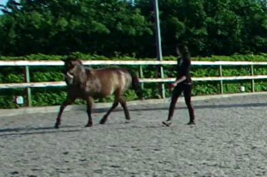 Ontdek dat voeding beter werkt dan vullen. Ga voor 100%!